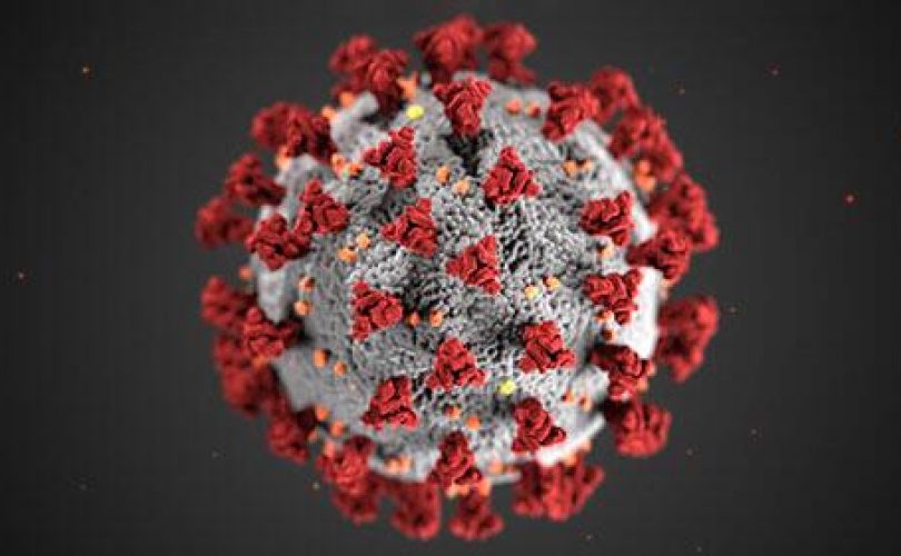 Koronavirüs tek bir kişinin vücudunda hızla mutasyon geçirebiliyor