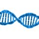 DNA onarım sürecine dair yeni bilgiler