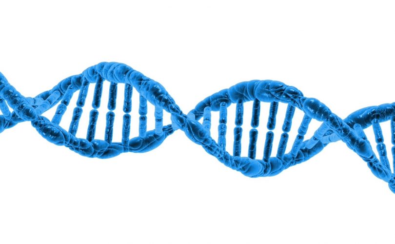 DNA onarım sürecine dair yeni bilgiler