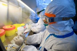 Çinli araştırmacılar: Koronavirüs mutasyon geçirdi, yeni bir türü var
