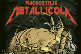 Adını Metallica’dan alan yeni bir tür