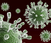 İnsanlığın virüslerle imtihanı: Dünyanın en ölümcül 9 virüsü