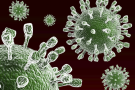 İnsanlığın virüslerle imtihanı: Dünyanın en ölümcül 9 virüsü