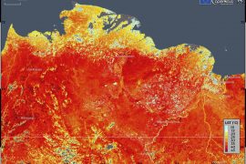 Sibirya’daki sıcak hava dalgasının küresel etkileri olabilir