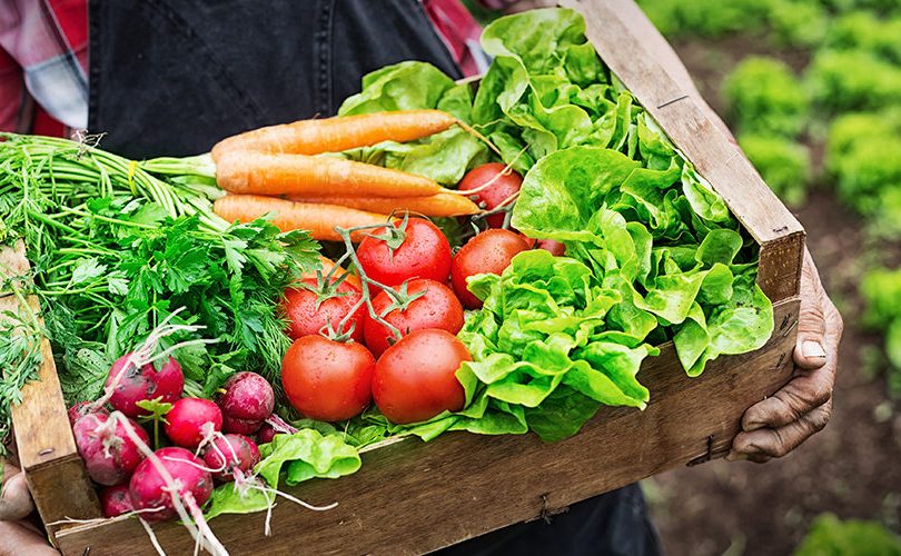 Dünya Sürdürülebilir Gastronomi Günü (DSGG)