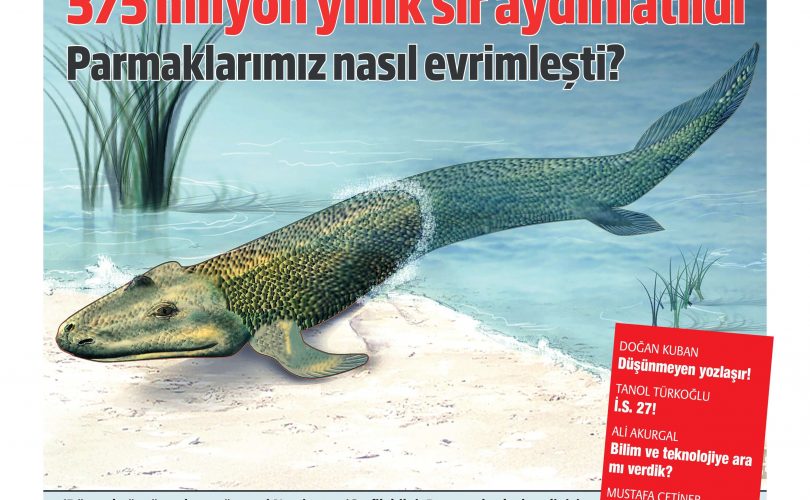 HBT Dergi 224. Sayı – 10 Temmuz 2020