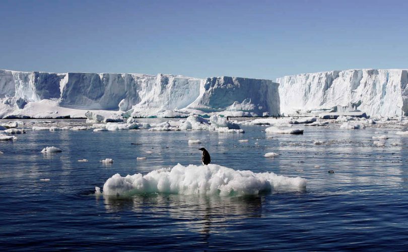 Büyük deniz akıntıları hızla kutuplara doğru ilerliyor