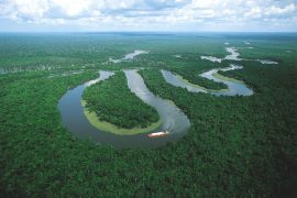 Amazon nehrinin yaşı kesin belirlendi: 11 milyon yıl