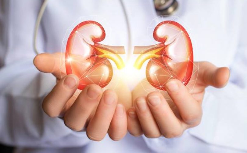 Kronik böbrek yetmezliği ve böbrek nakli