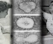 Koronavirüsü keşfeden kadın: June Almeida