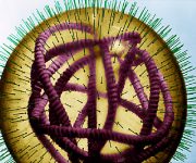 Kızamık virüsü insana ilk kez ne zaman bulaştı?