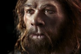 Afrikalıların kalıtımında da Neandertal geni var