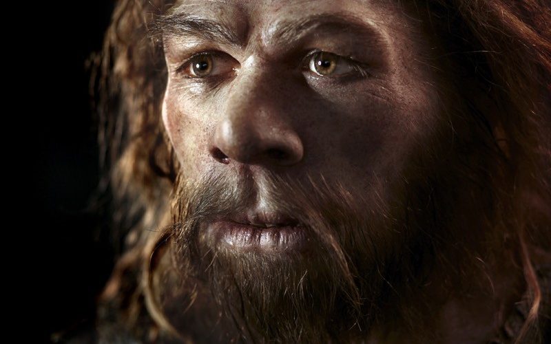 Neandertallerden aldığımız gen ağrı eşiğimizi etkiliyor