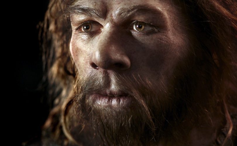 Afrikalıların kalıtımında da Neandertal geni var