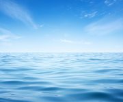 Denizler oksijensizlikten boğuluyor