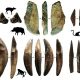 Afrika dışında, ok ve yayla avcılığı kanıtlayan en eski buluntular ortaya çıktı