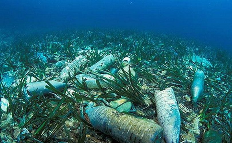 Deniz tabanındaki plastik atıklar yirmi yıl sonra bile yeni atılmış kadar sağlam