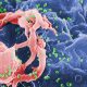 Bir insanın bağışıklık sistemi ilk kez HIV’i yendi