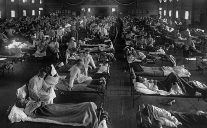 Büyük pandemiler (3): İspanyol gribi (III)