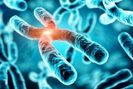 İlk kez bir kromozomun tüm genetik kodu çözüldü