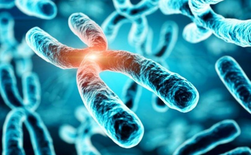 İlk kez bir kromozomun tüm genetik kodu çözüldü