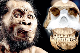 Homo naledi: En yakın atamız mı?