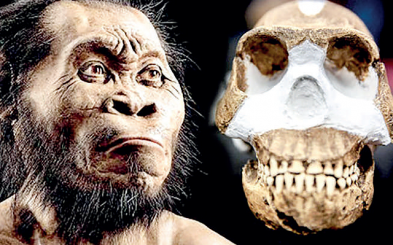 Homo naledi: En yakın atamız mı?