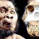 Homo naledi: En yakın atamız mı?