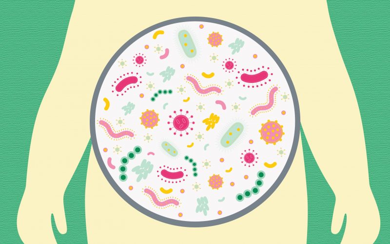 Bağırsak bakterileri insanlarla birlikte gelişmiş