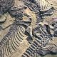 Çin’de lavların altında 125 milyon yıllık dinozor kalıntısı bulundu