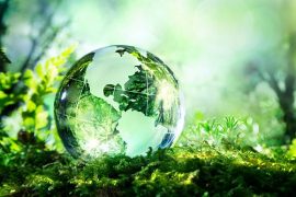 İklim değişimi küresel fotosentezi tetikliyor