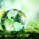 İklim değişimi küresel fotosentezi tetikliyor