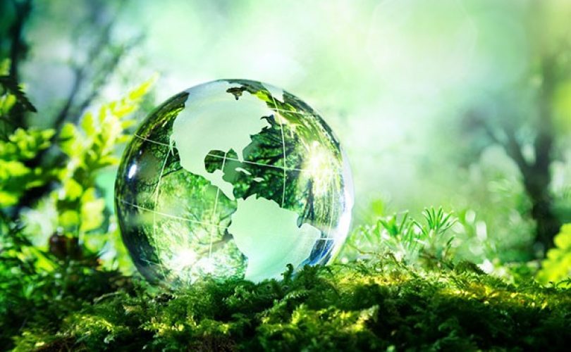 İklim değişimi küresel fotosentezi tetikliyor