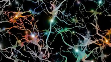 Sinir hücreleri bilgisayar oyunu “oynayabiliyorlar”