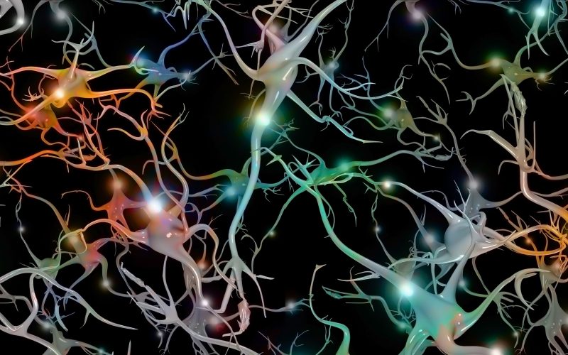 Sinir hücreleri bilgisayar oyunu “oynayabiliyorlar”