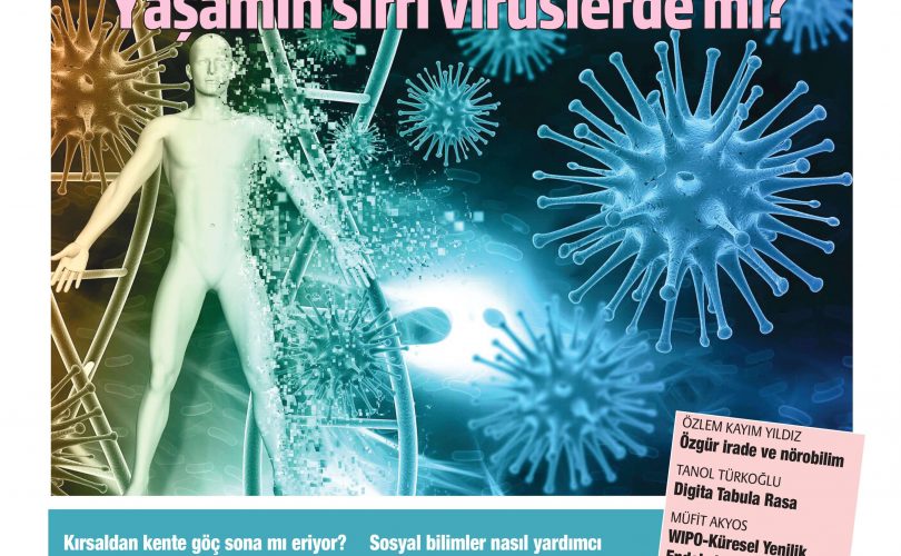 HBT Dergi 239. Sayı – 23 Ekim 2020