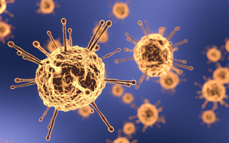 Koronavirüse karşı bağışıklık tepkisi en az 6 ay sürüyor