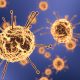 Koronavirüse karşı bağışıklık tepkisi en az 6 ay sürüyor