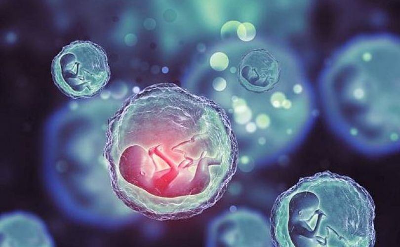 Yumurtalarınız elinizden gitmeden…