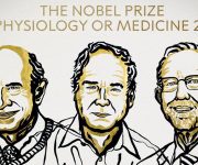 2020 Nobel Tıp Ödülü sahiplerini buldu