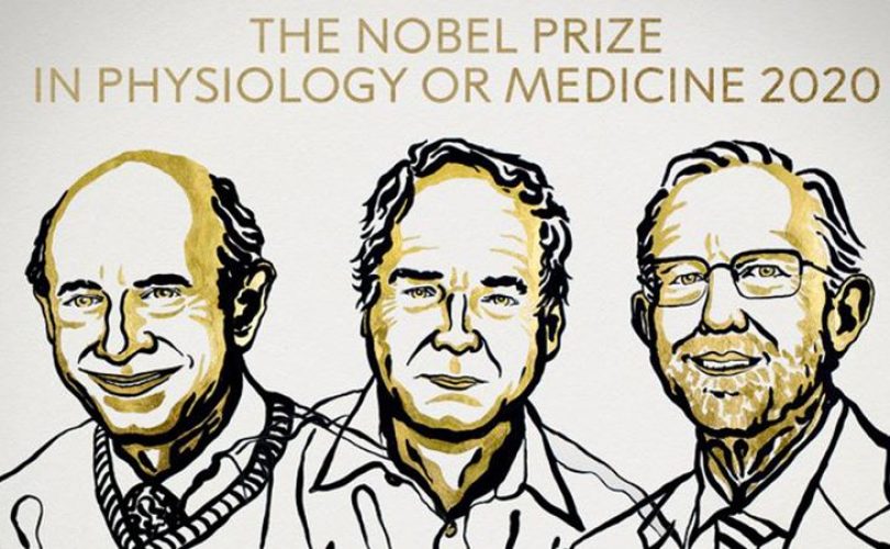 2020 Nobel Tıp Ödülü sahiplerini buldu