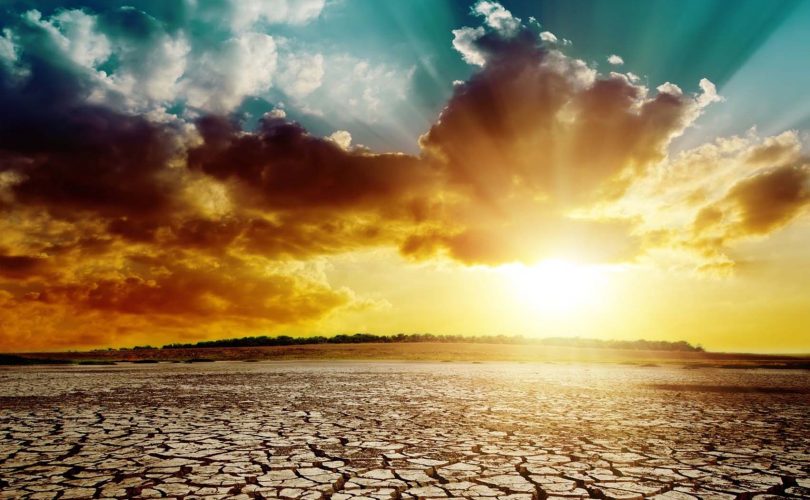 Aşırı sıcak dalgaları yaşam biçimlerimizi değiştirecek, ama buna hazır değiliz