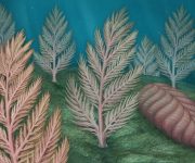 Deniz tabanında yaşamış bu canlı, evrimin eksik halkası mı?