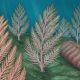 Deniz tabanında yaşamış bu canlı, evrimin eksik halkası mı?