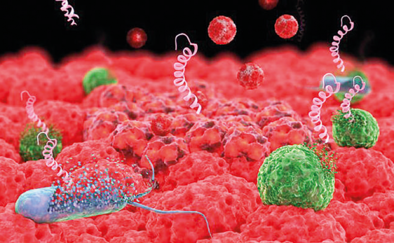 Antibiyotiksiz bir dünyaya doğru