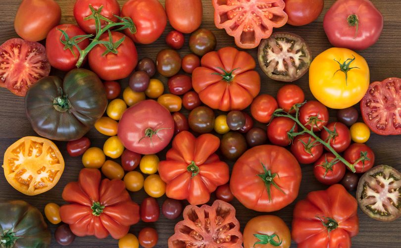 Beden ve akıl sağlığı için domates