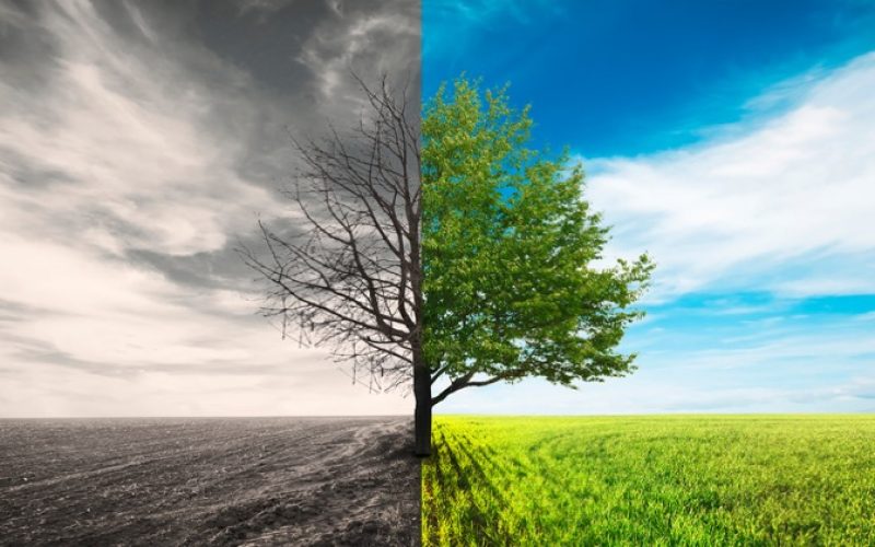 Ekmek tüketimi küresel ısınmaya neden oluyor mu?