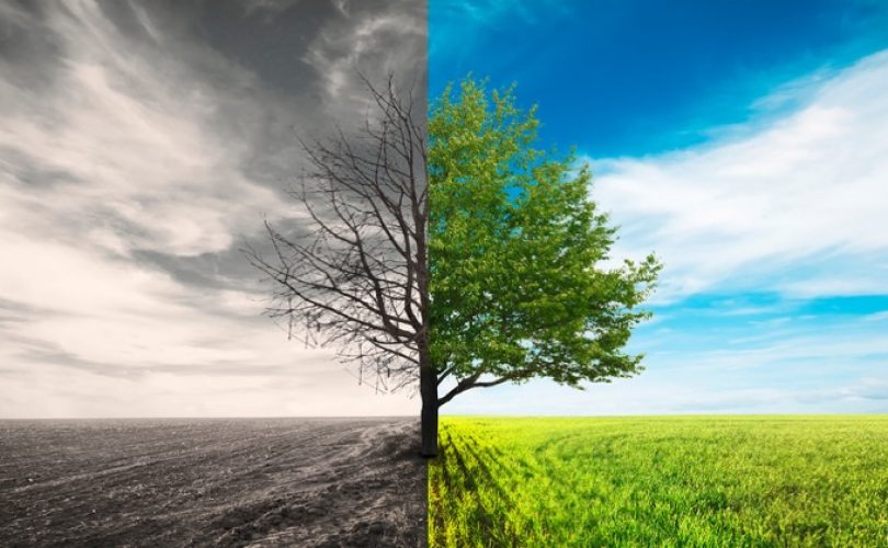 Ekmek tüketimi küresel ısınmaya neden oluyor mu?