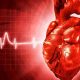 Eğitim seviyesi ve kalp hastalıkları riski arasında ilişki var mı?