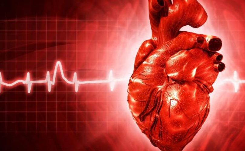 Eğitim seviyesi ve kalp hastalıkları riski arasında ilişki var mı?